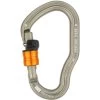 Petzl Vertigo Park Carabiner